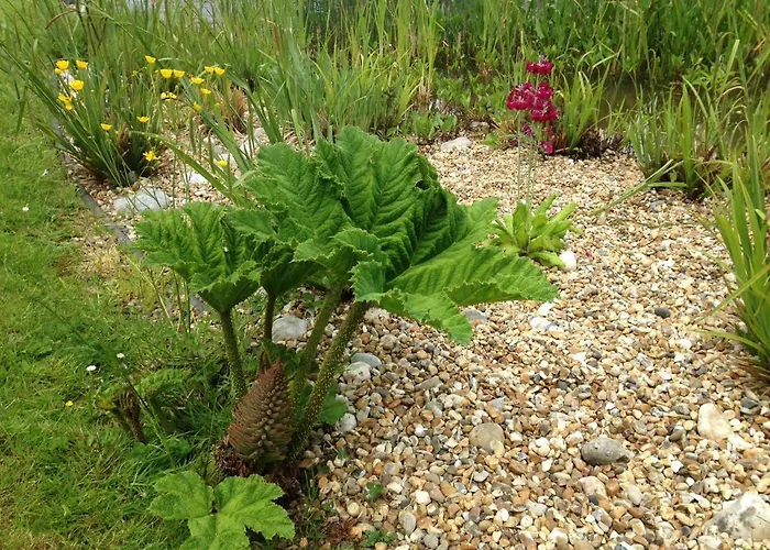 La Belle Mare 3* Etaimpuis